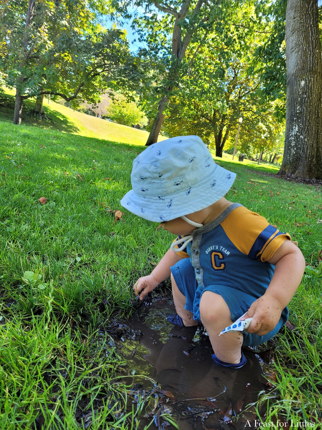 The Joy of Nature in the Early Years